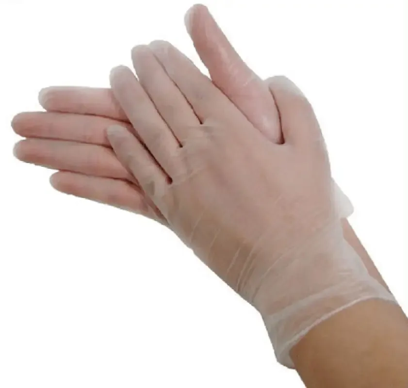 Disposable Gloves - SynGuard Vinyl Examination Gloves INTCO 3 Mil INVGPF